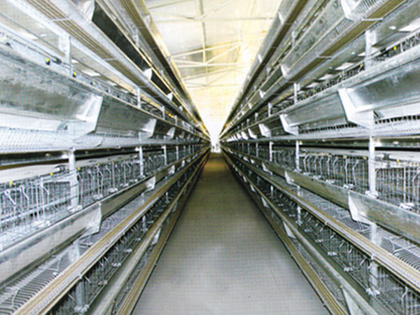 層疊式蛋雞籠養(yǎng)養(yǎng)雞設備