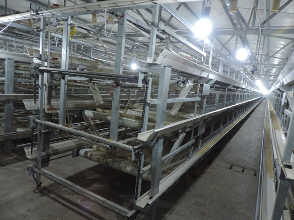 層疊式蛋雞籠養(yǎng)養(yǎng)雞設備