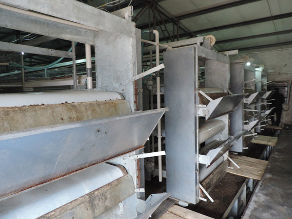 層疊式蛋雞籠養(yǎng)養(yǎng)雞設備